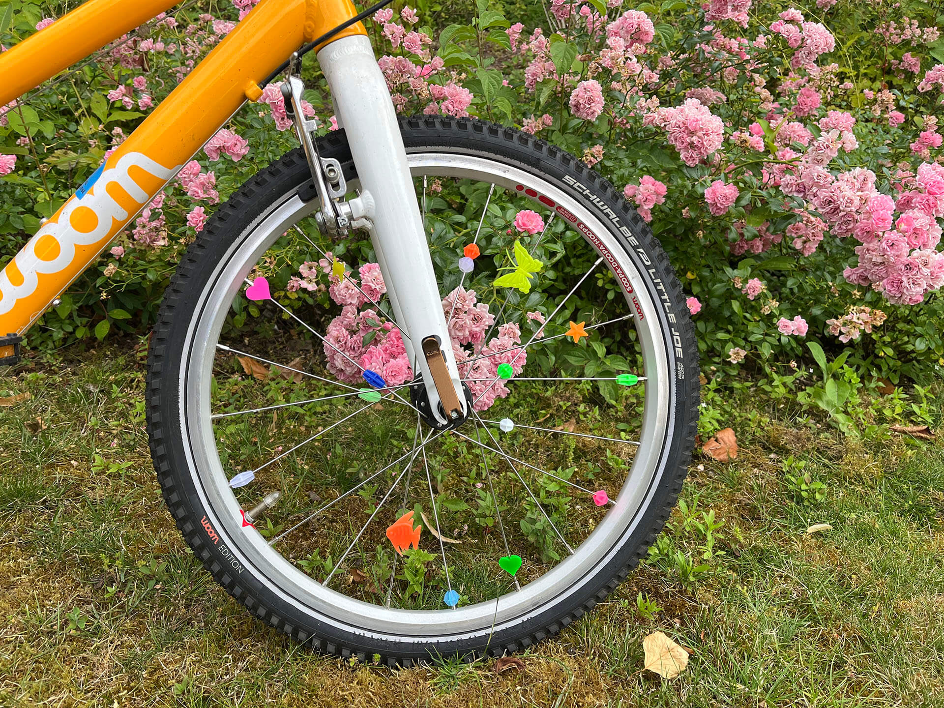 Fahrradspeichen Clips Madame Wood