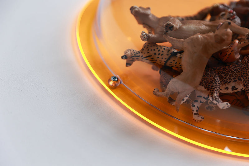 Halbkugel aus klarem Acryl mit transparentem, neonorangem Hintergrund, gefüllt mit Tierspielzeug für Kinder - Nahaufnahme