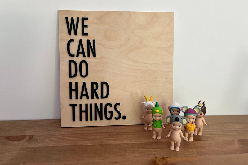 "We can do hard things" Holzschild