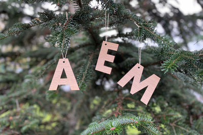 Drei Buchstaben Weihnachtsbaumanhänger aus Eichenholz hängend an einem Baum - A, E, M