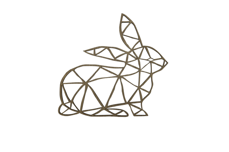 Polygonal Rabbit