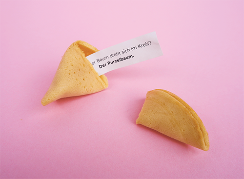 Fortune Cookie